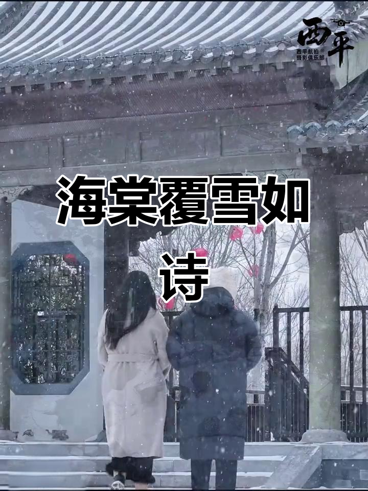 雪中嫘祖海棠园,诗意冬日浪漫来袭