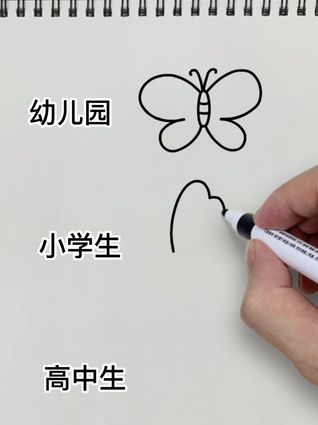 不同年级画的蝴蝶简笔画,你会哪种画法呢