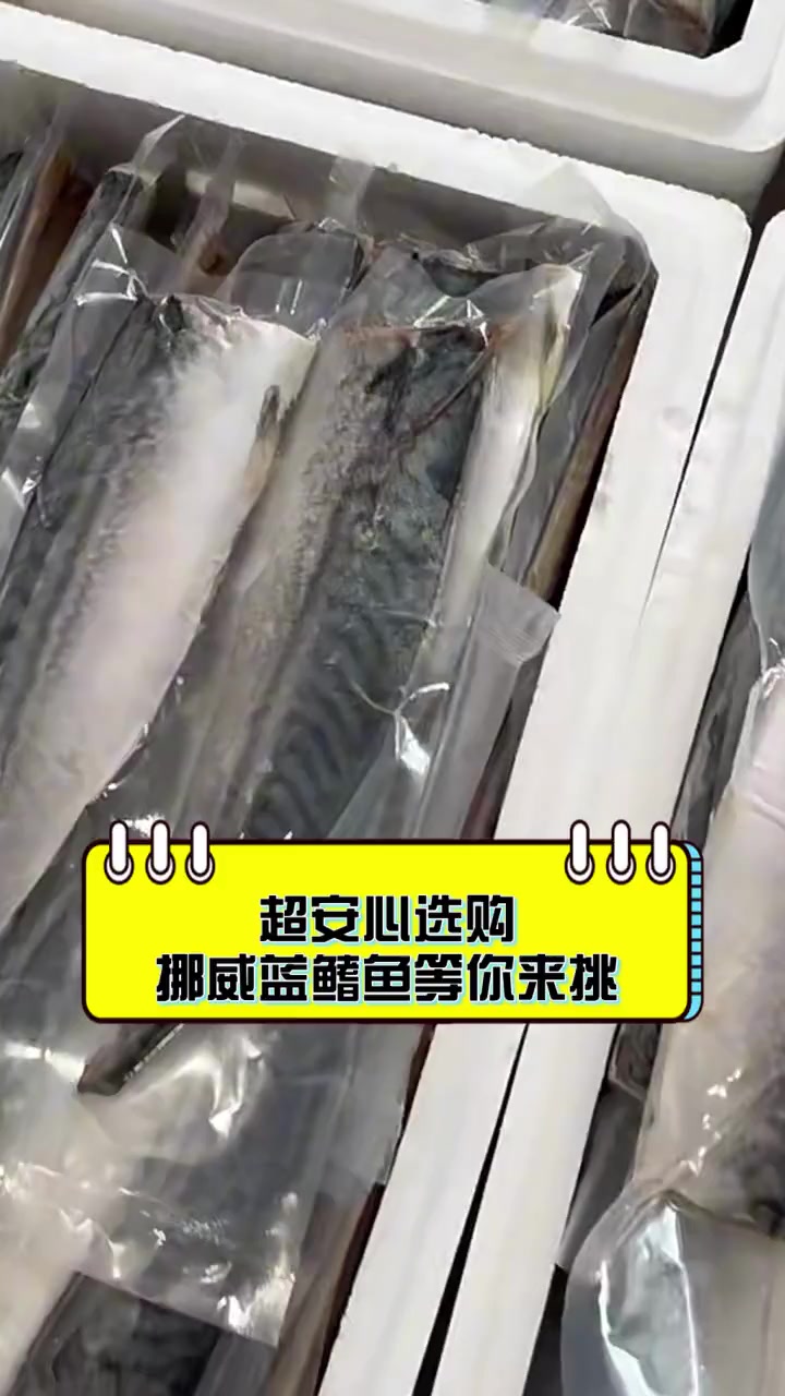 超安心选购,挪威蓝鳍鱼等你来挑