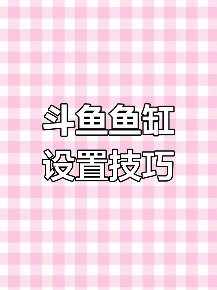 如何布置鱼缸让斗鱼更漂亮