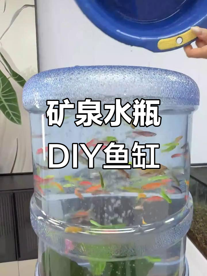 用矿泉水桶打造超简单鱼缸,步骤全解析