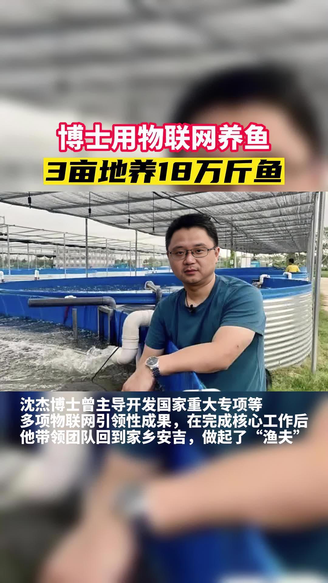 黑科技!博士用物联网养鱼,3亩养可18万斤!#水产养殖 #三农 #新农人