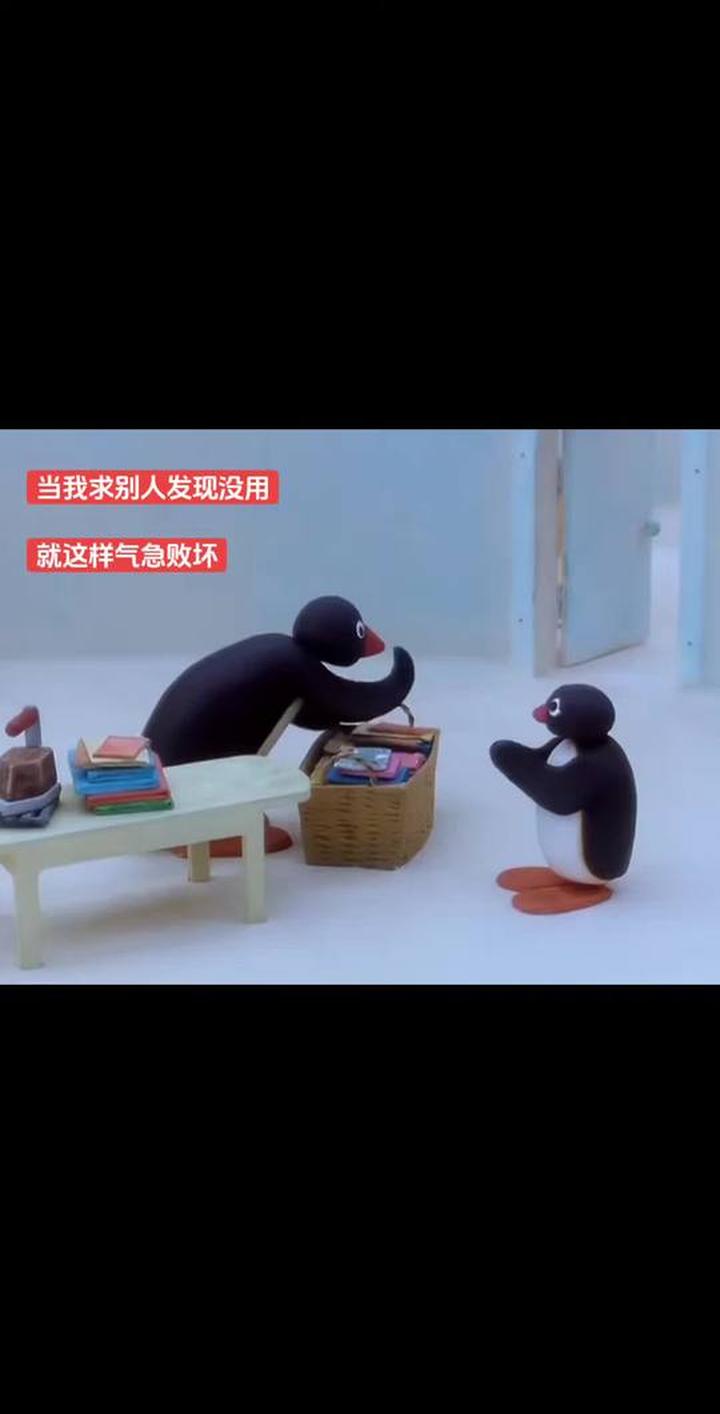 可爱企鹅家族动画片分享,萌化你的生活