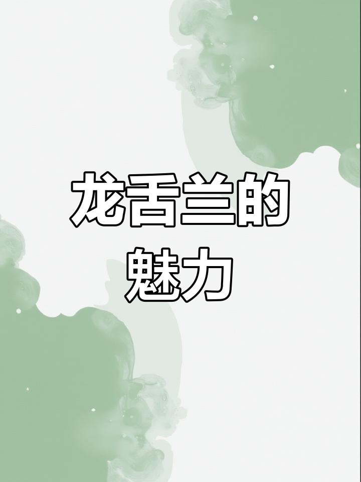 鬼脚掌龙舌兰:墨西哥沙漠中的多肉奇观