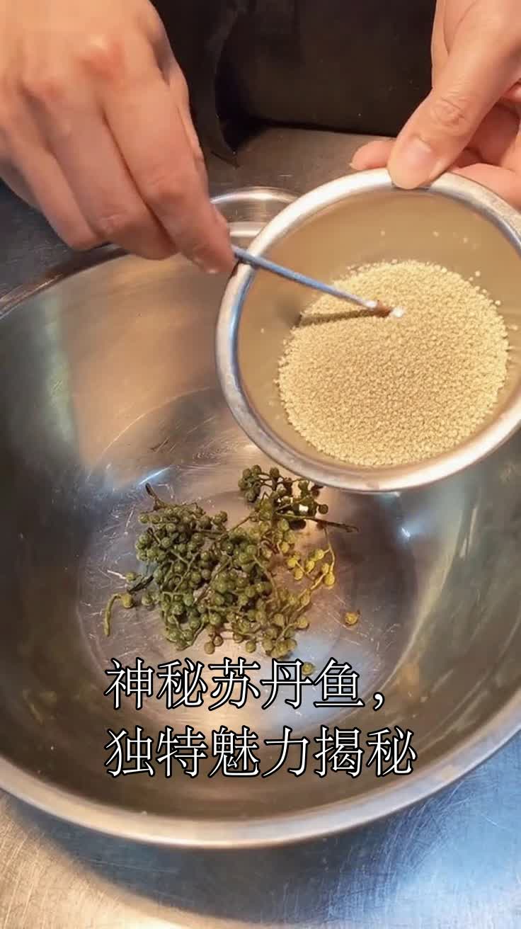 神秘苏丹鱼,独特魅力揭秘