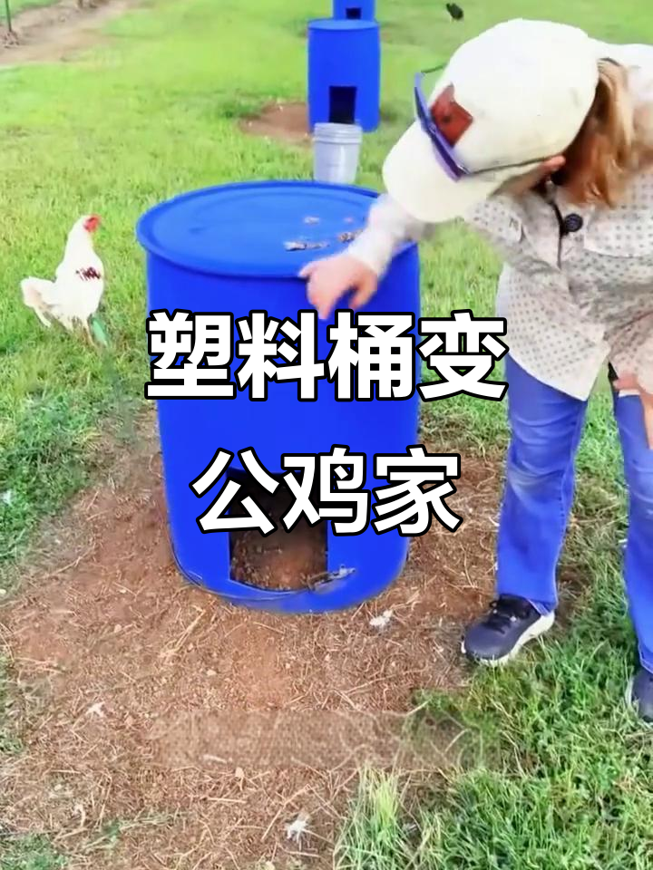 美国养鸡场用废旧塑料桶做“鸡舍”,竟然是这样设计的!