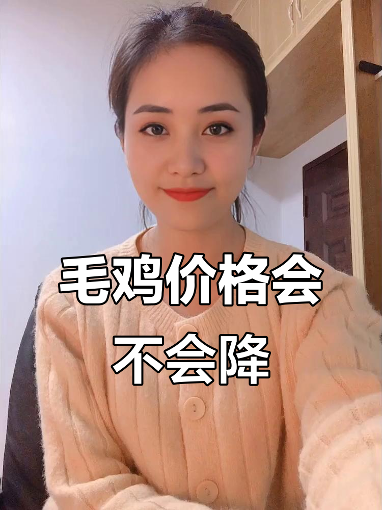 屠宰场拉涨失败,毛鸡价格是否会大跌?