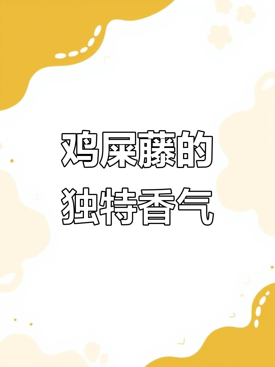 鸡屎藤:闻起来臭,吃起来香,真是个神奇的小吃!
