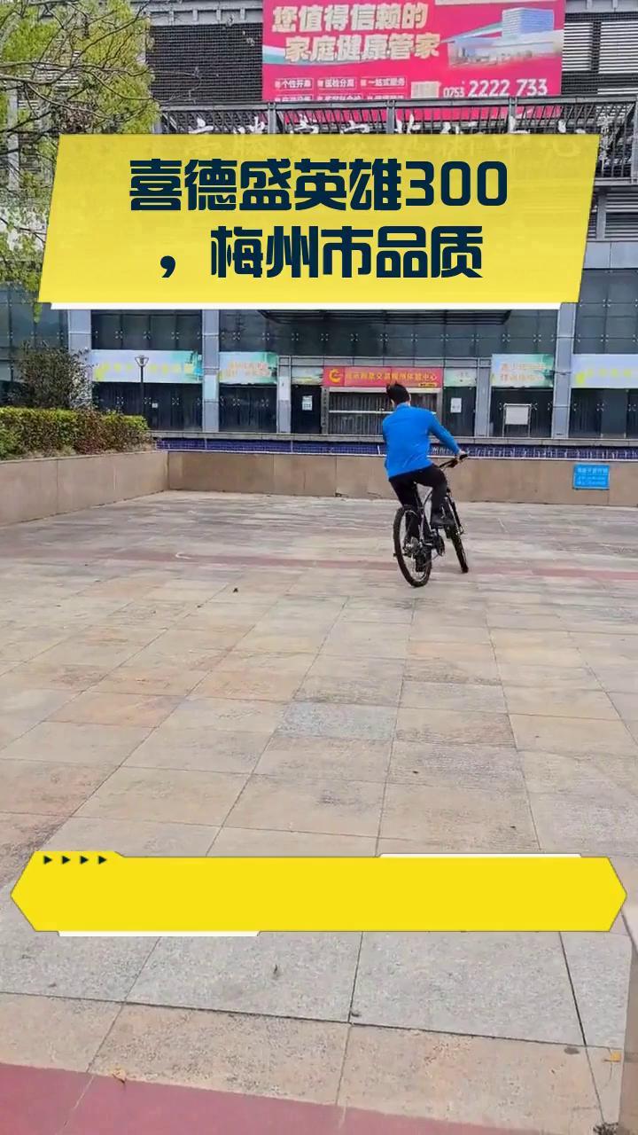 喜德盛英雄300,梅州市品质