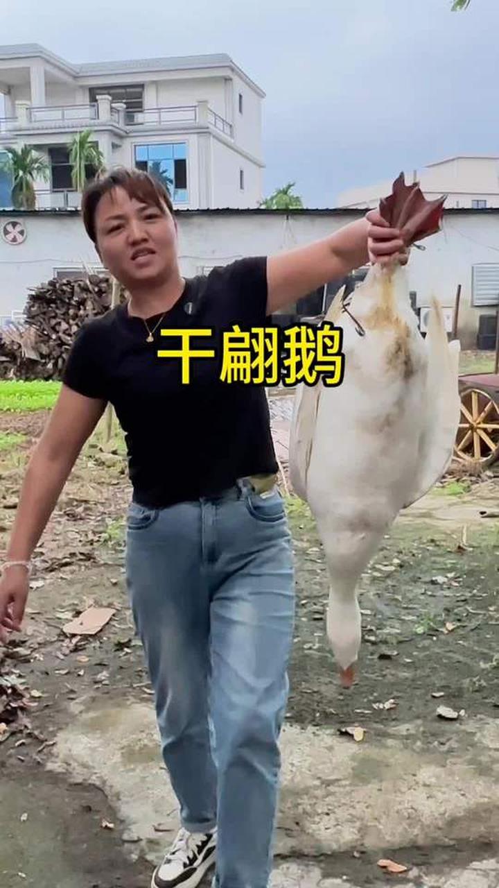 泡好的竹笋腌制，海南仔抓鹅做干煸鹅