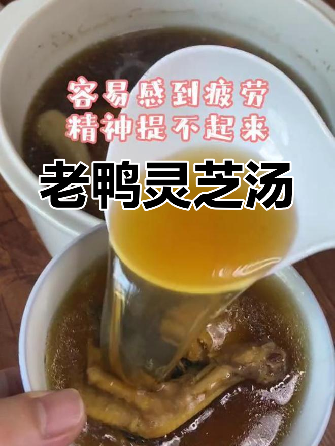 灵芝虫草花炖水鸭汤,滋补又美味