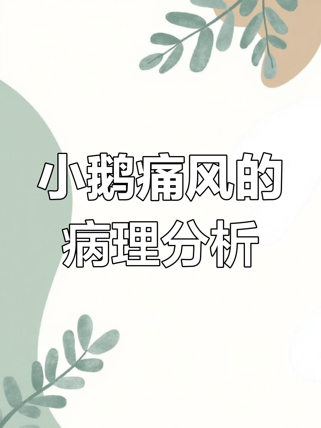 小鹅痛风解剖揭秘,十几天的雏鹅如何应对