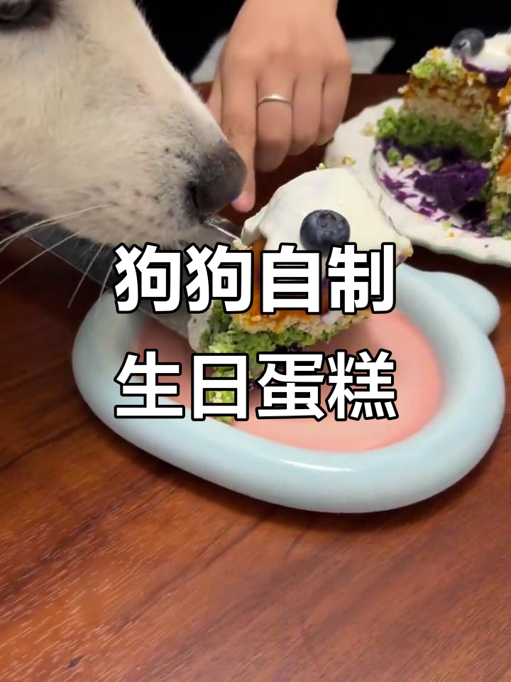 自制狗狗生日蛋糕，健康又美味！