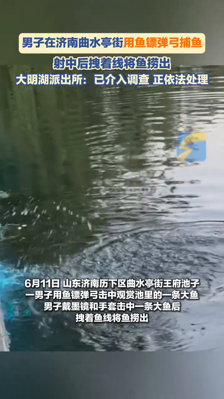 男子在济南曲水亭街用鱼镖弹弓捕鱼，射中后拽着线将鱼捞出