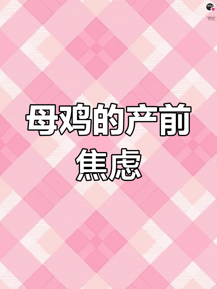 母鸡产蛋前的焦虑与准备,竟然这么有趣!