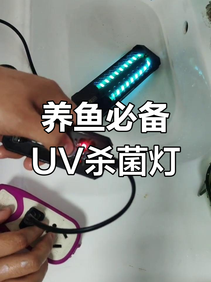 鱼缸杀菌灯使用指南:如何正确摆放与设置时间