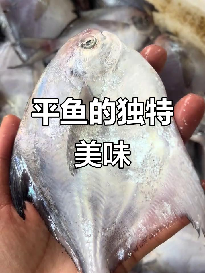 新鲜平鱼,嫩滑可口,多种做法皆宜,比其他海鲜更胜一筹