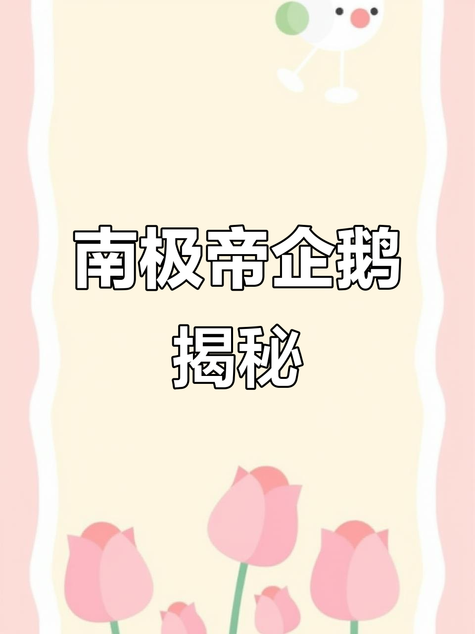 帝企鹅:南极最大、最耐寒的企鹅,守护小生命的奇迹