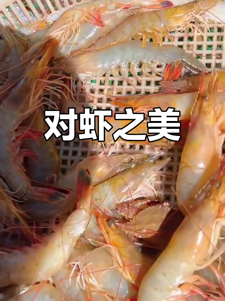 青岛对虾,渤海特产,长至30厘米,鲜美无比