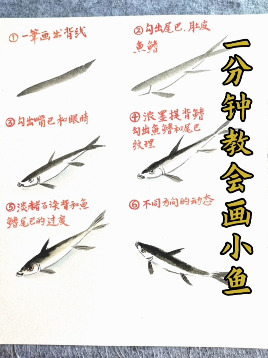 一分钟学会画小鱼/小鱼的画法