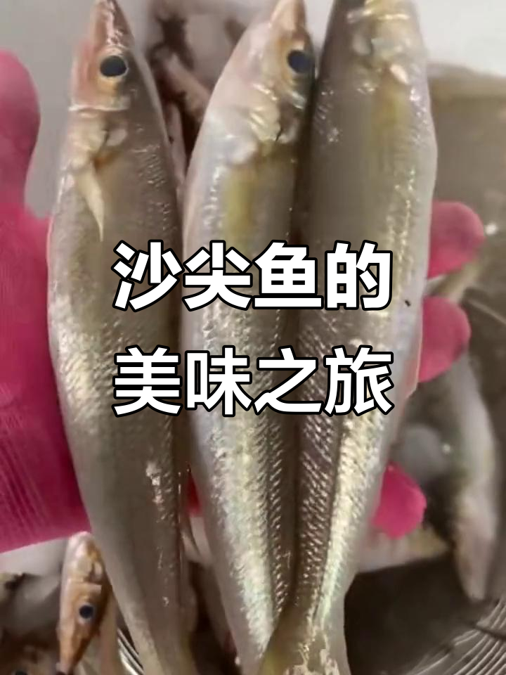 沙尖鱼肉质鲜美,多种做法皆宜,油炸或汤煮都令人陶醉