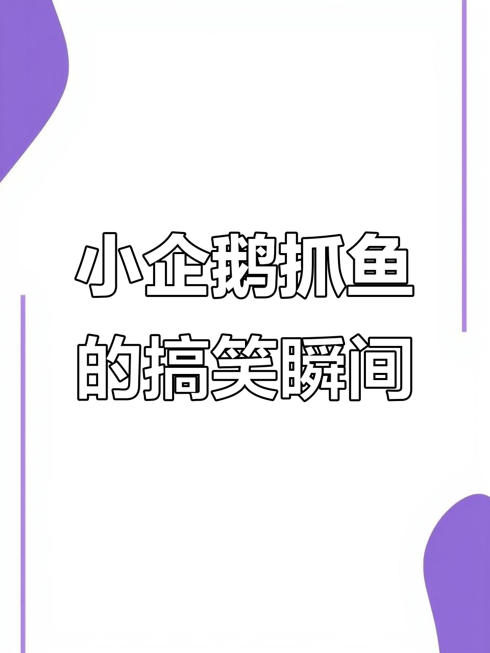 小企鹅抓鱼时摔倒,萌态十足!