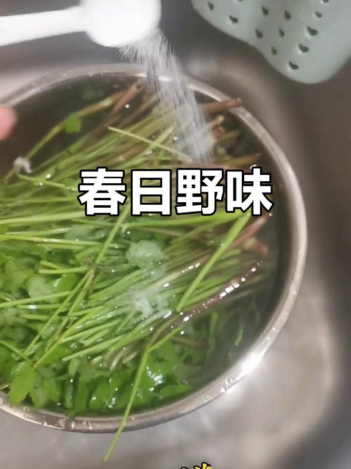 野芹饺子,春天的味道,江南人的独特美味