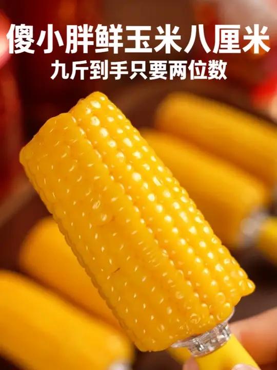 蒸锅掀盖那刻-甜雾猛扑鼻孔！咬下去像在云朵里啃蜂蜜 软糯中带着香甜，夏天到了，拿玉米代替主