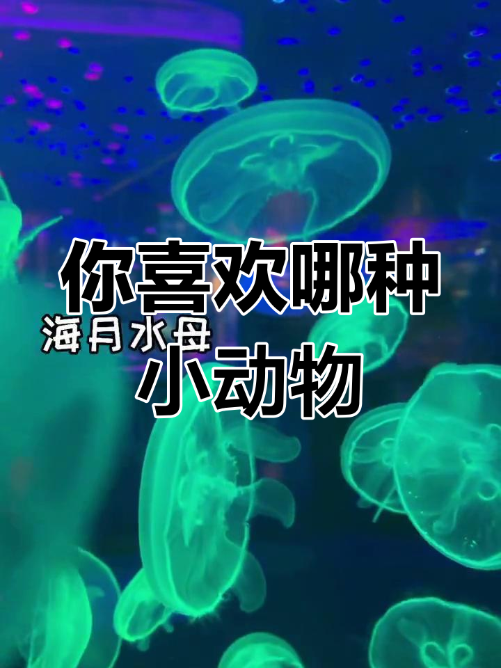 海洋馆里的神秘生物,你最喜欢哪个?