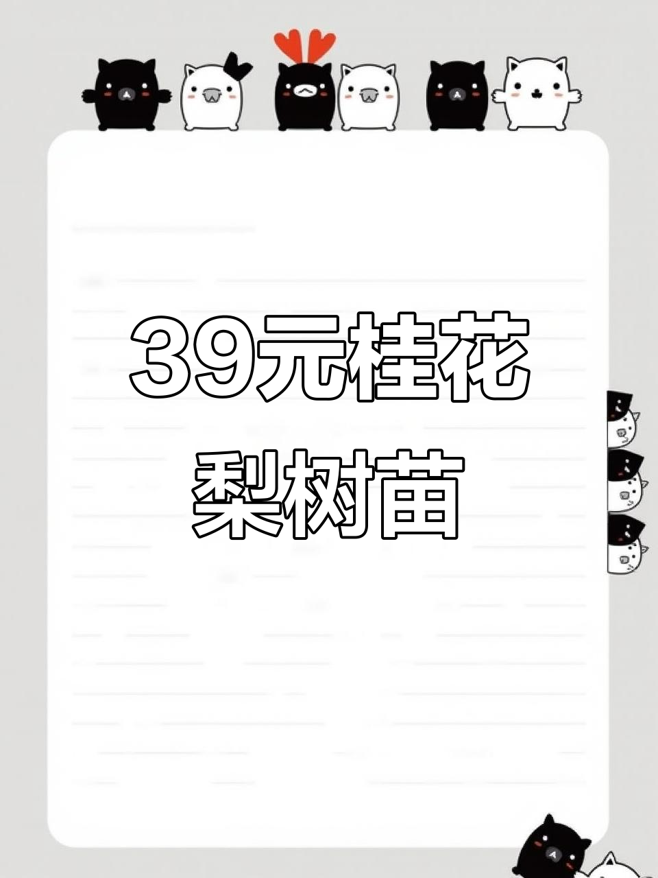 加拿大39元桂花梨果树苗,阳台庭院都能种