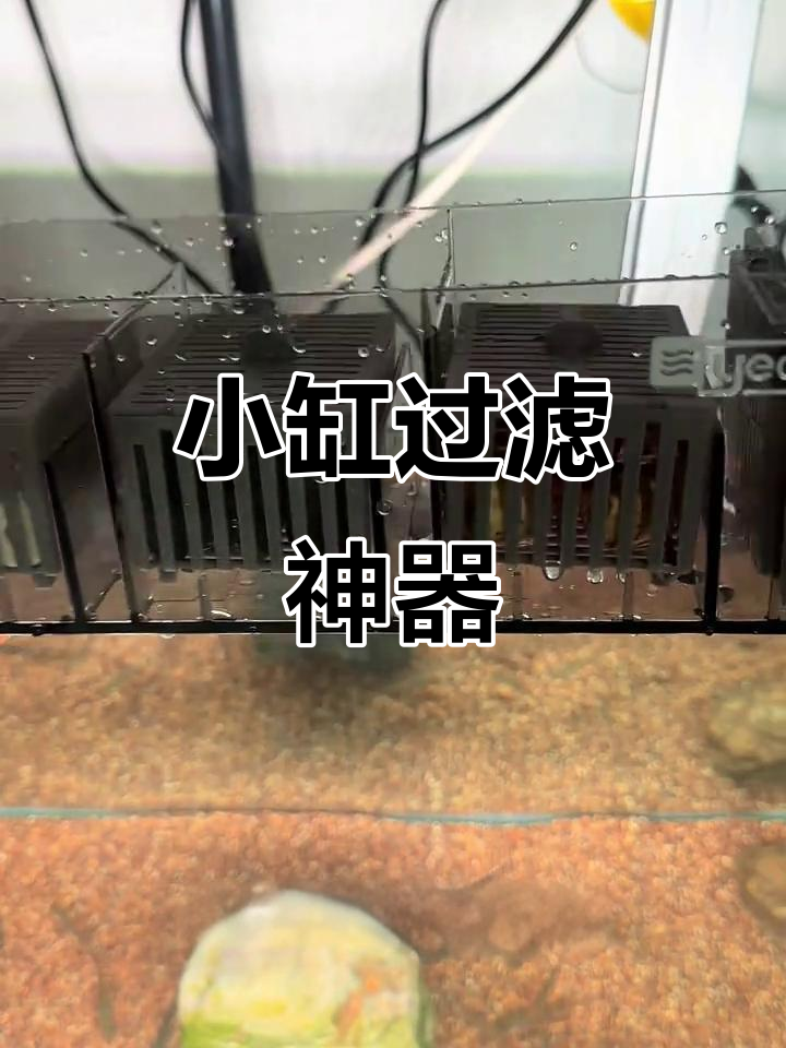 高大壮的小缸过滤器，干湿分离轻松搞定！