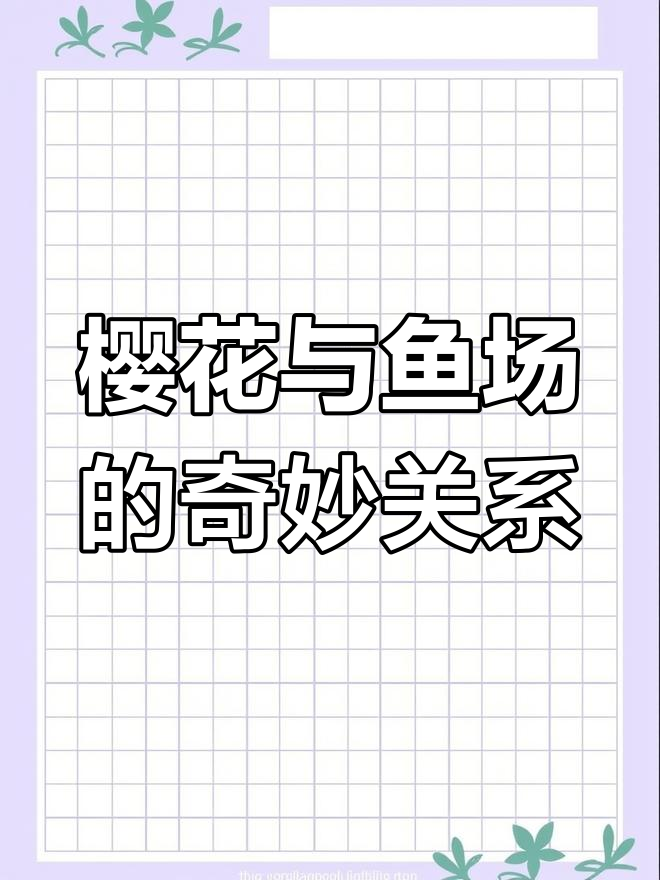 日本鱼场常用樱花作饲料，商店里琳琅满目，值得一逛