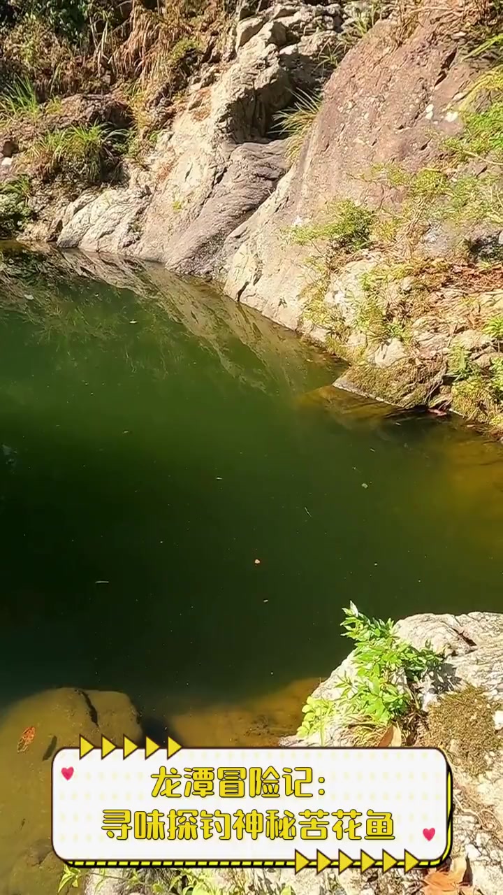 龙潭冒险记:寻味探钓神秘苦花鱼