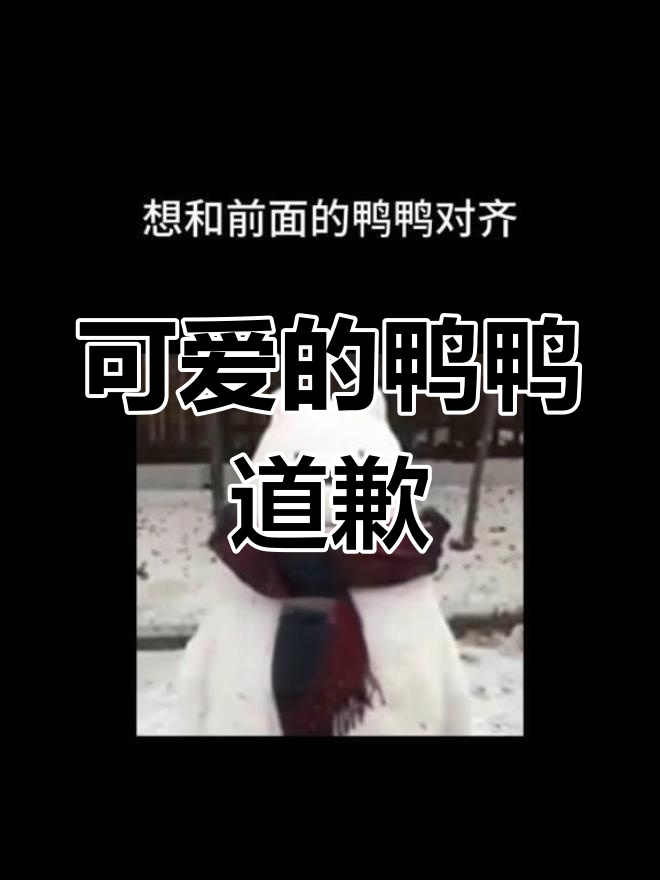 小鸭子排队道歉
