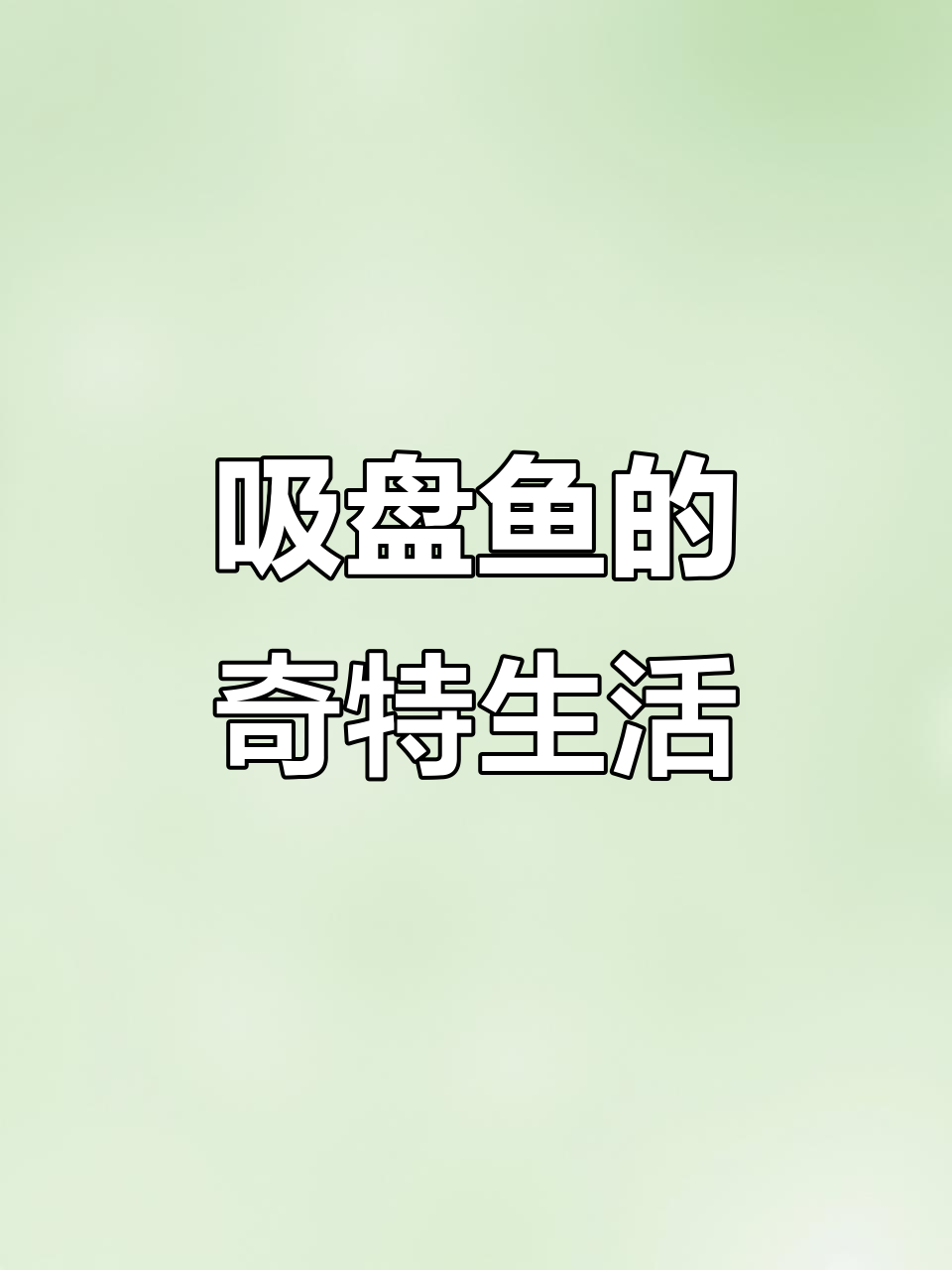 吸盘鱼如何借助轮船远游?揭秘它们的独特生存方式