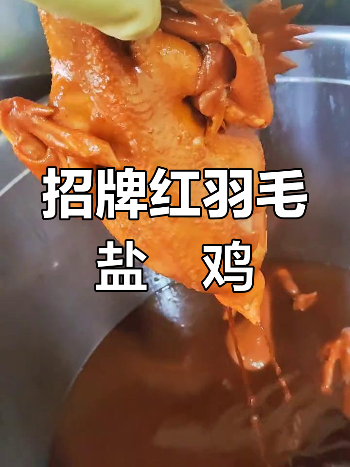 红羽毛盐焗鸡,选用两年老母鸡,口感紧实鲜香浓郁
