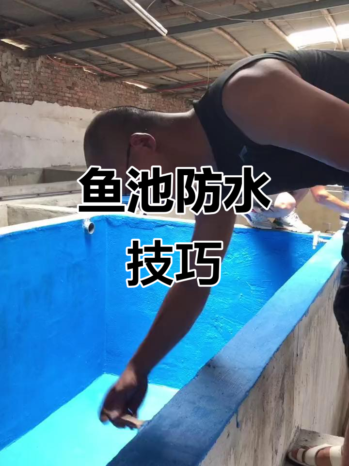 鱼池防水怎么做?蓝色涂料背后的秘密
