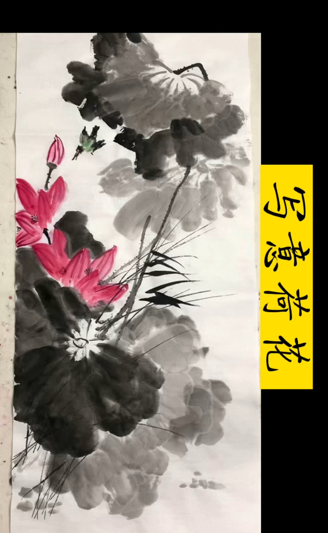 大写意荷花完整视频