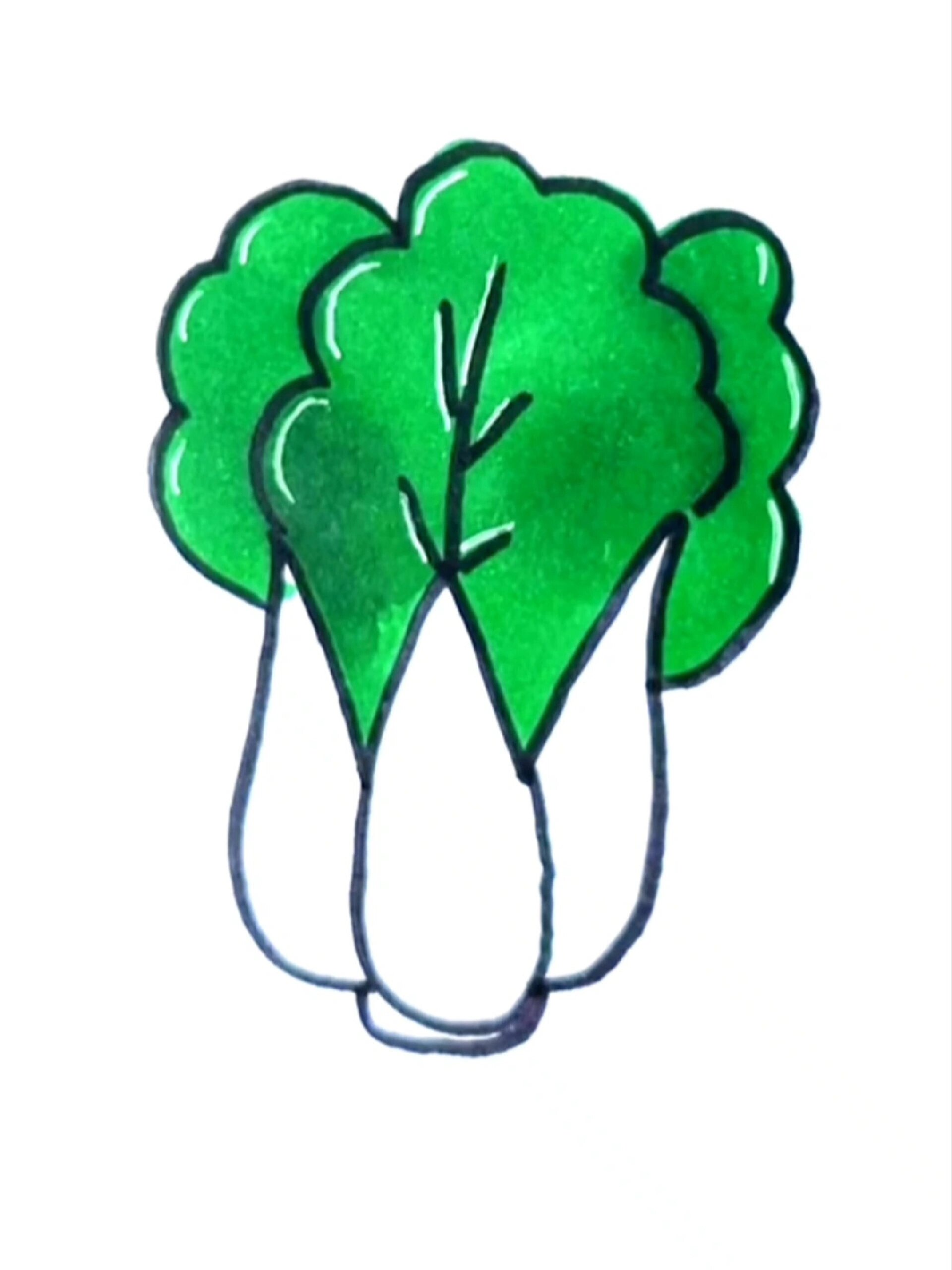 青菜简笔画