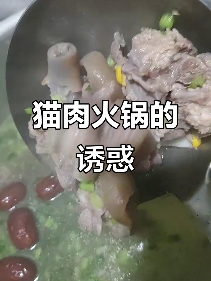 猫肉火锅,味道鲜美让人怀念