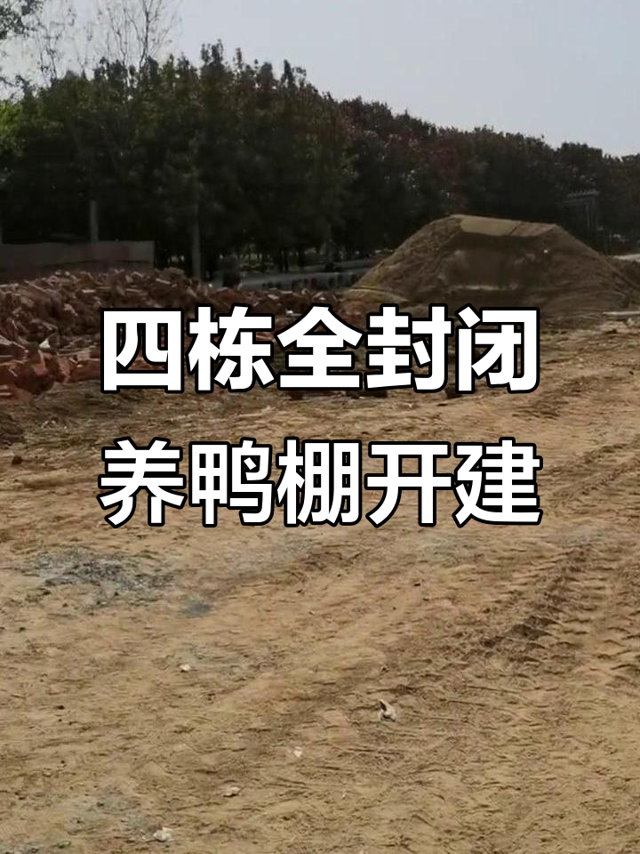 100米长四栋全封闭肉鸭养殖棚开工,建设过程从容应对