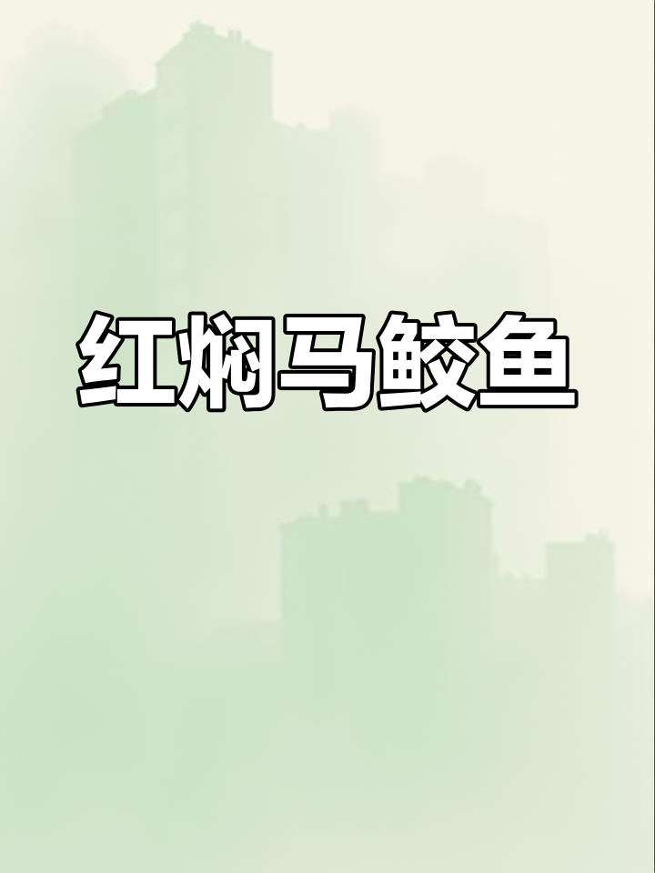 孩子们最爱的马鲛鱼做法,红焖香气扑鼻