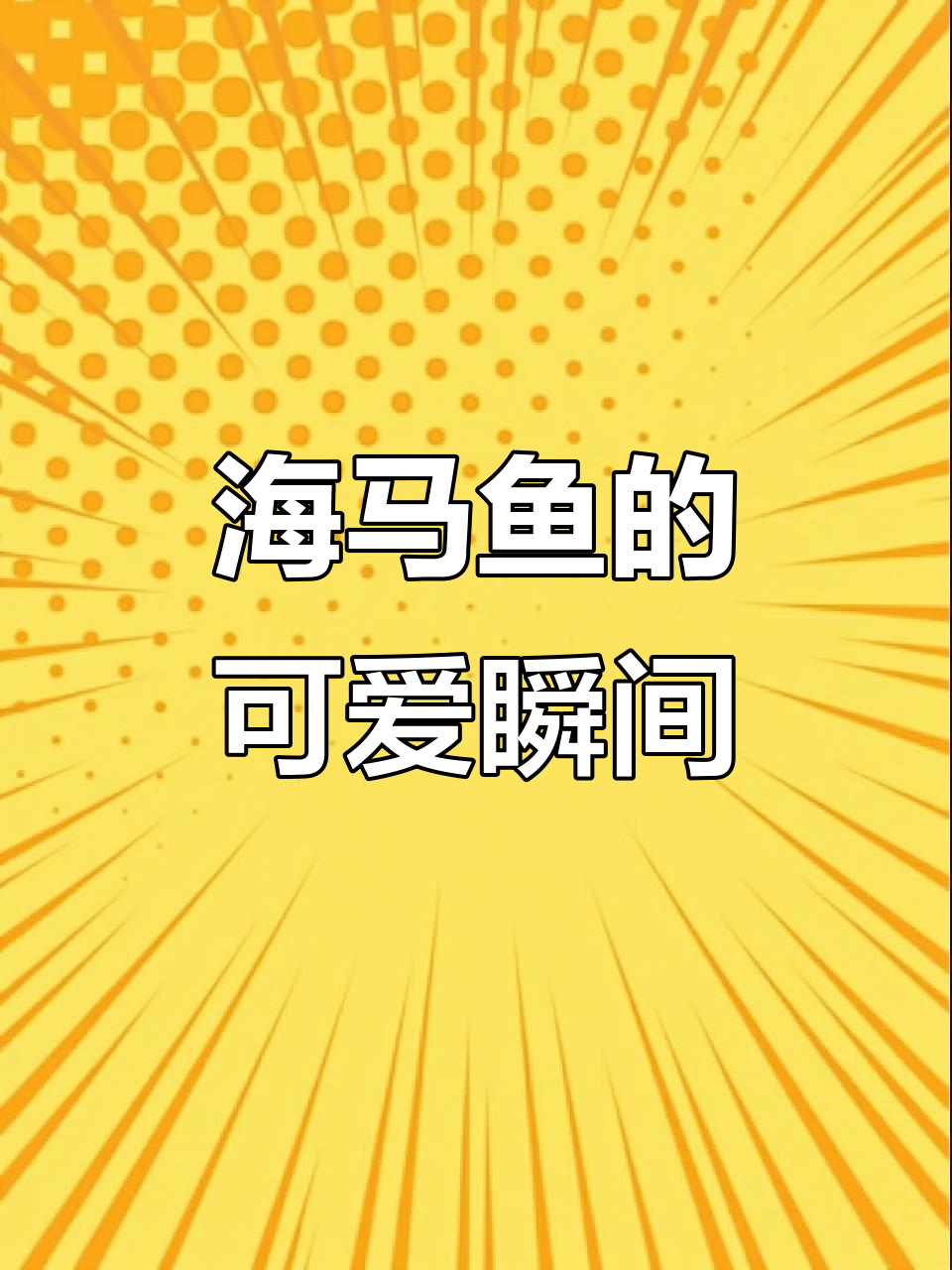 海洋海马鱼,萌态十足!