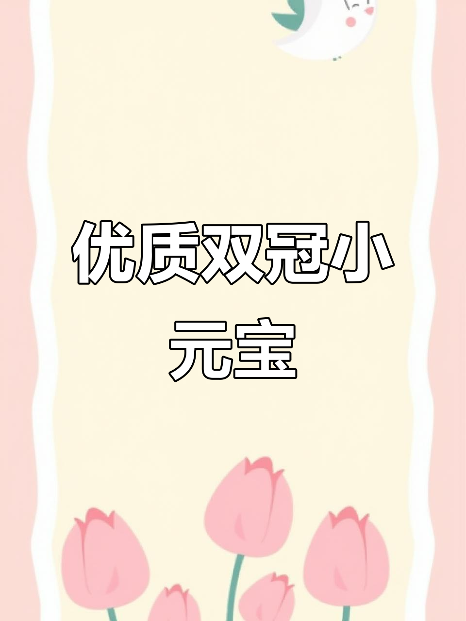 双冠小白，元宝鸡的独特魅力与品质