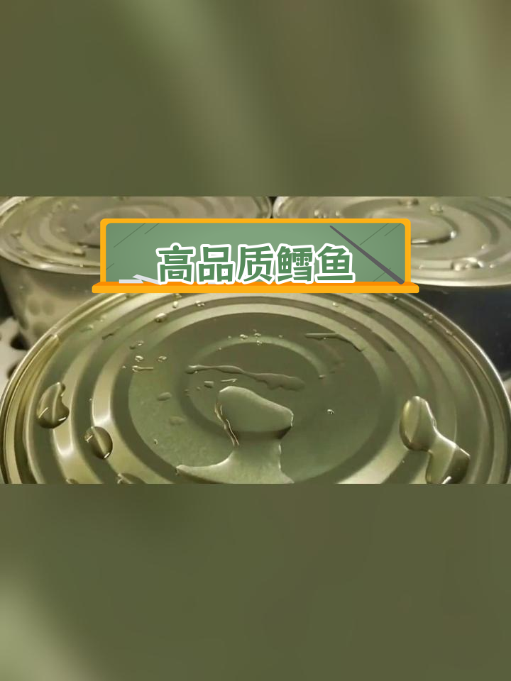 阿拉斯加鳕鱼跃出水面,铁罐里的美味之旅