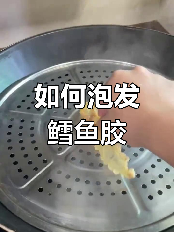 鱼胶泡发技巧大揭秘，轻松搞定鳕鱼胶