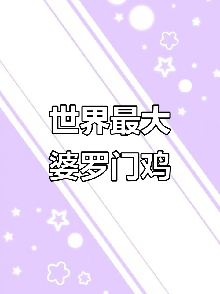 婆罗门鸡:一只卖两万的巨型宠物,你养得起吗?