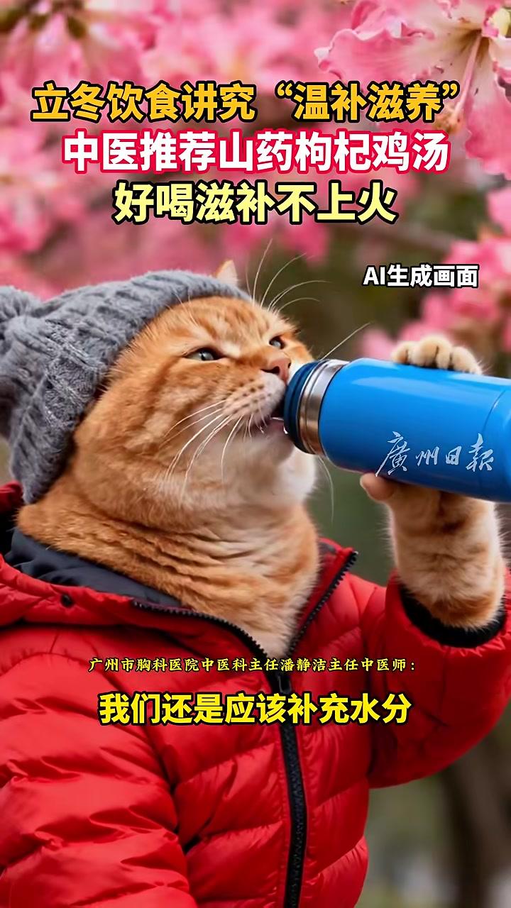 岭南二十四节气|养生,立冬饮食讲究“温补滋养”,中医推荐山药枸杞鸡汤,好喝滋补不上火山药枸