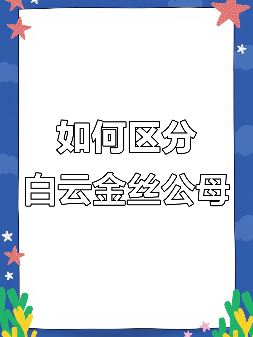 白云金丝公母分辨,如何判断成鱼性别?