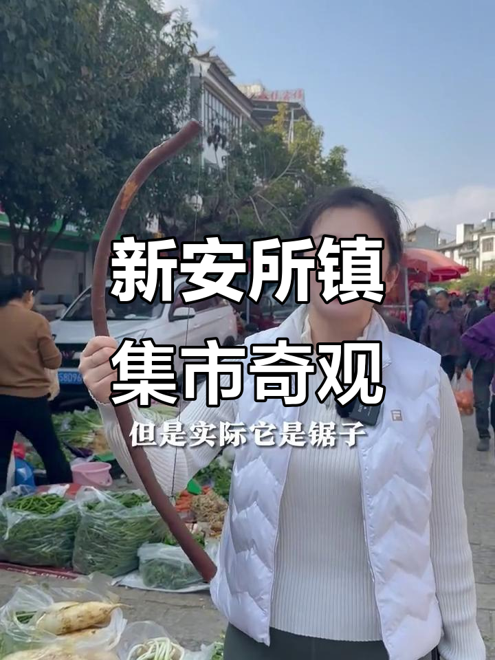 探秘云南蒙自新安所镇:野生大黄蜂、奇特竹筒烟袋与神秘扁担